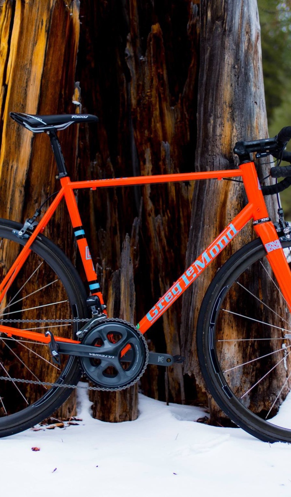 Оранжевый велосипед у дерева