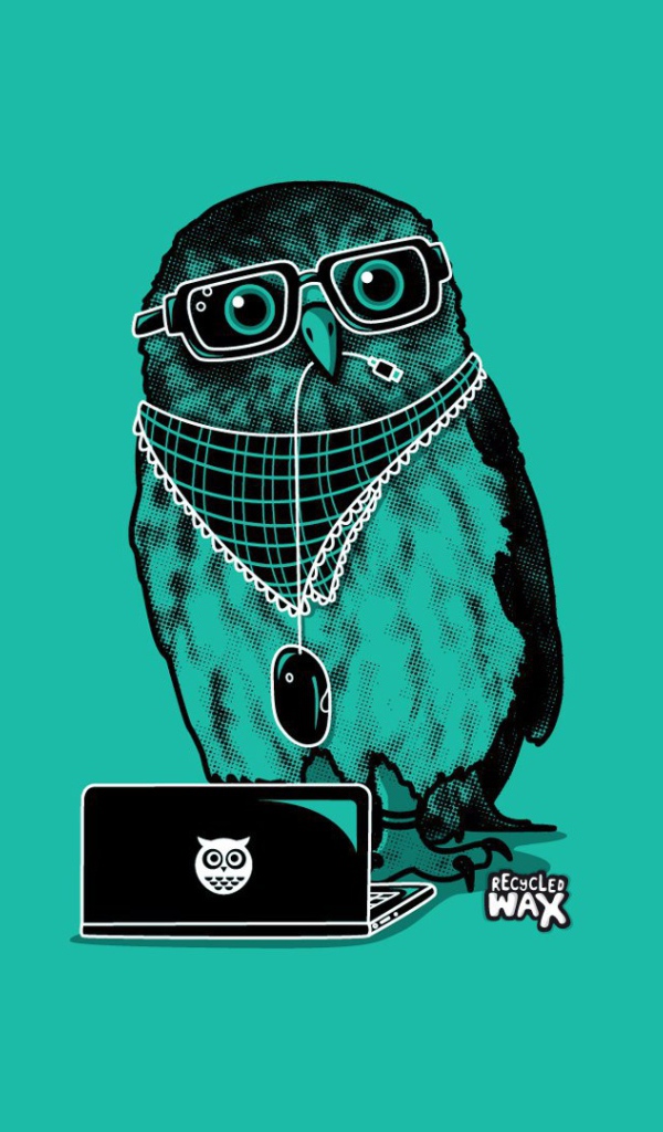 Сова в модной одежде