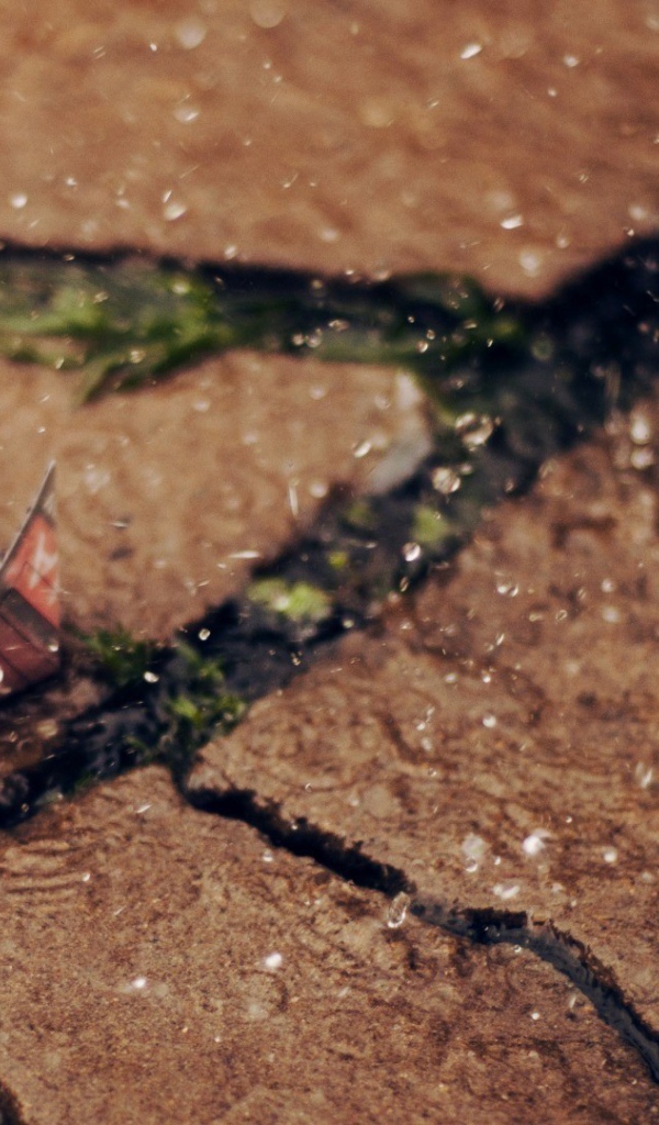 Бумажные кораблики под дождем