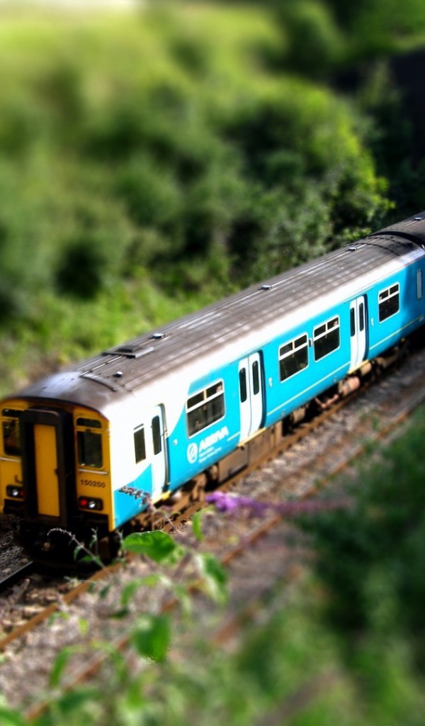 Пассажирский поезд скрывается в тоннеле