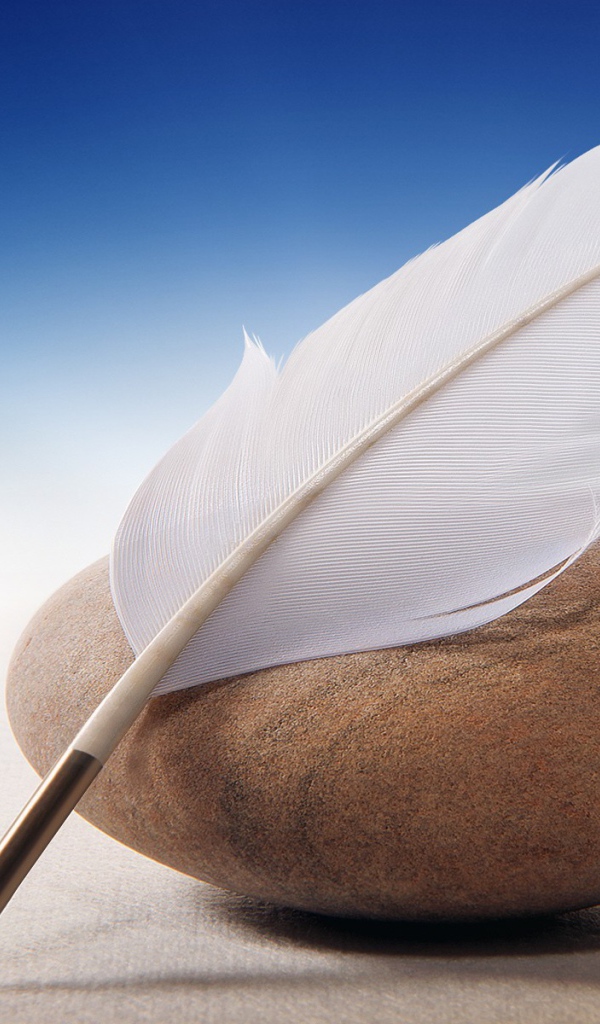 Перо для письма и морской камень