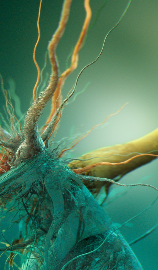 Фото микроорганизма под увеличением