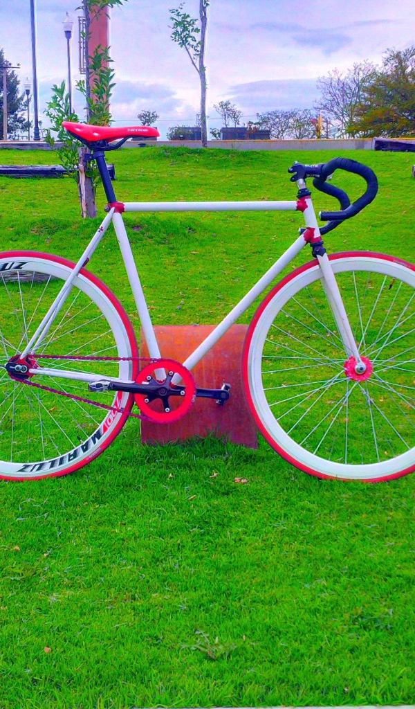 Розовый велосипед на зеленом газоне