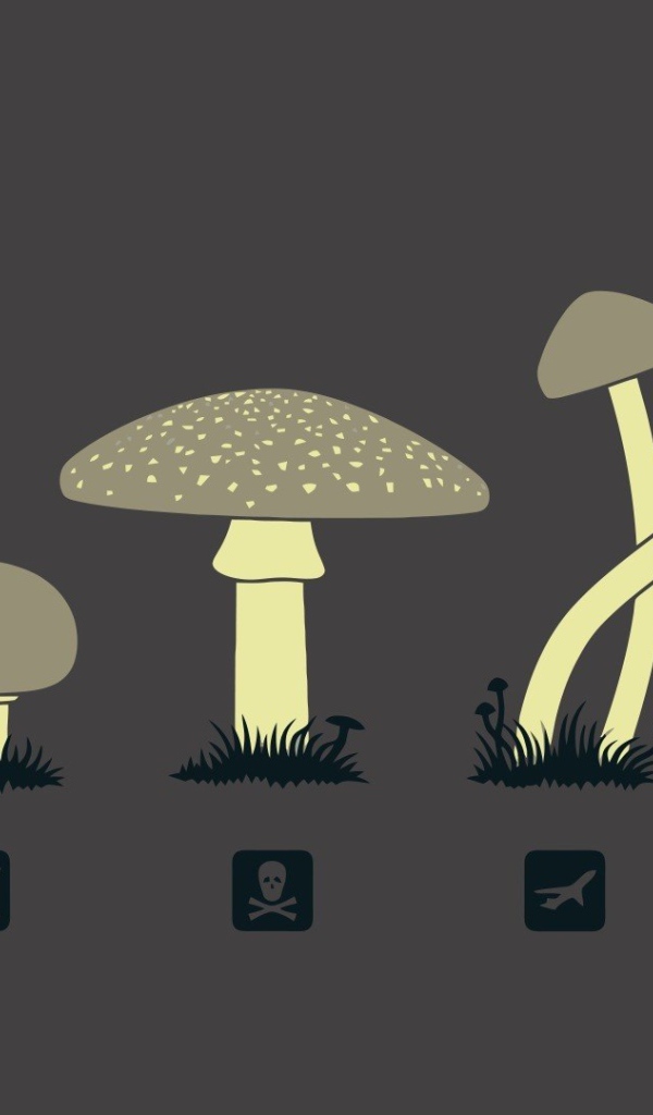 Предназначение разных грибов