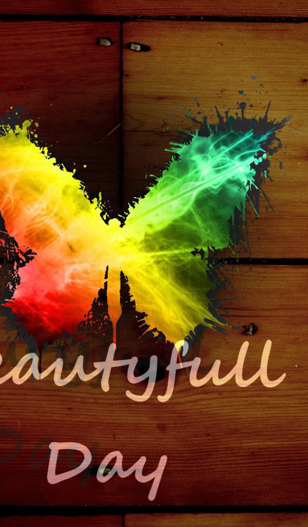 Радужная бабочка, прекрасный день