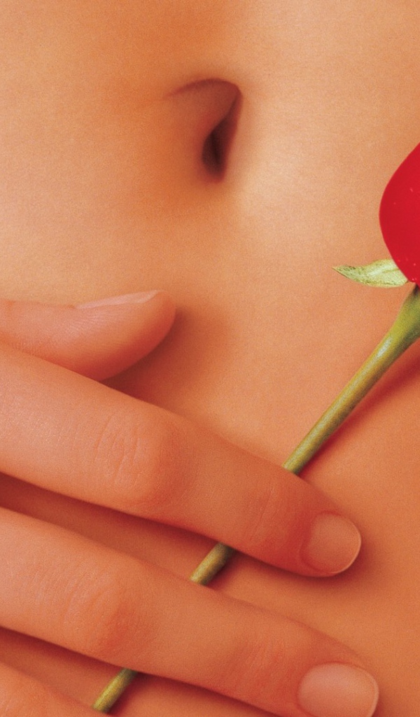 Роза на животе у девушки