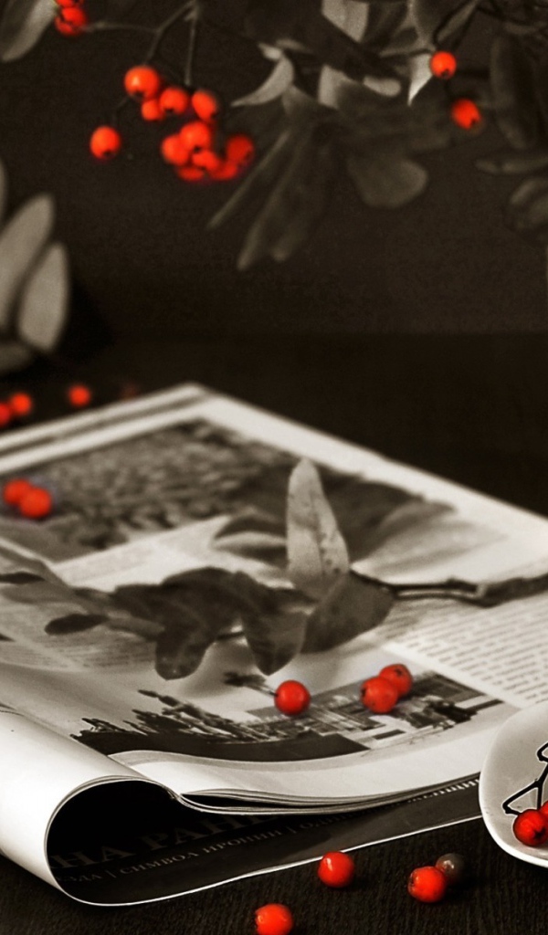 Ягоды рябины на столе и журнале