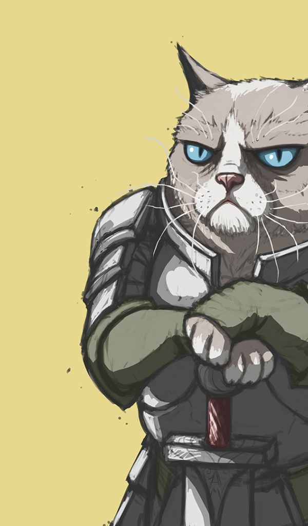 Грустный кот в доспехах