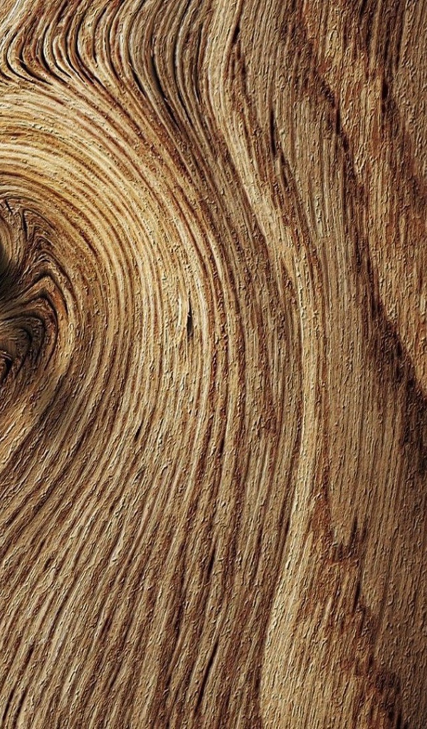 Шуруп в деревянной доске