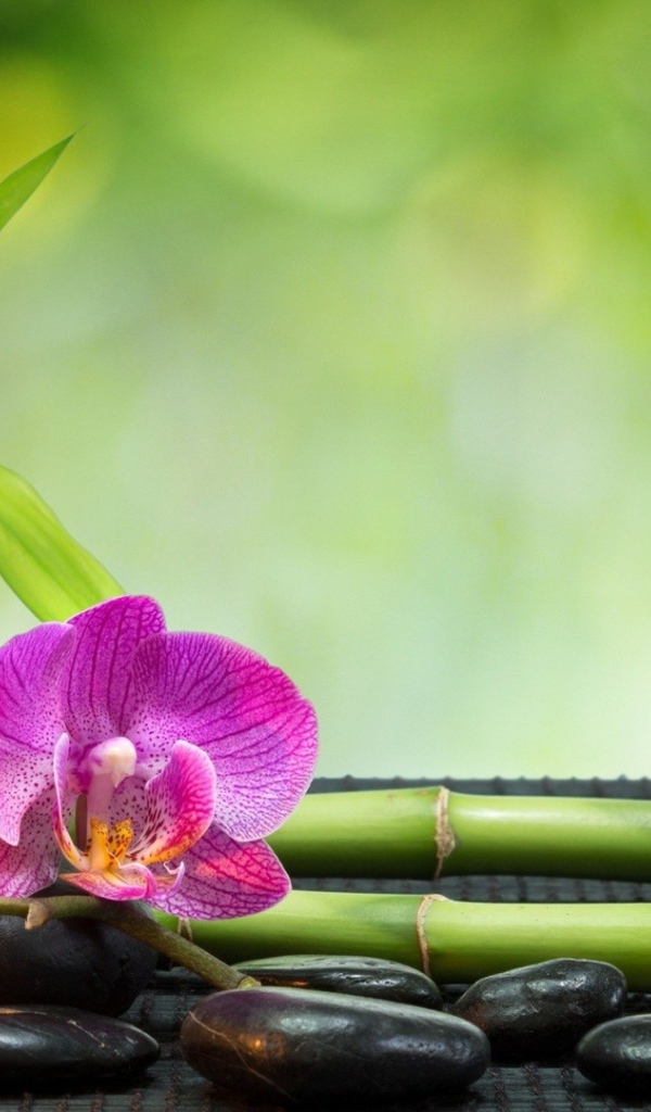 Набор для релаксации