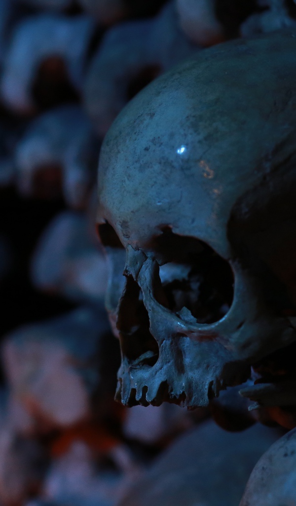 Череп среди костей в склепе