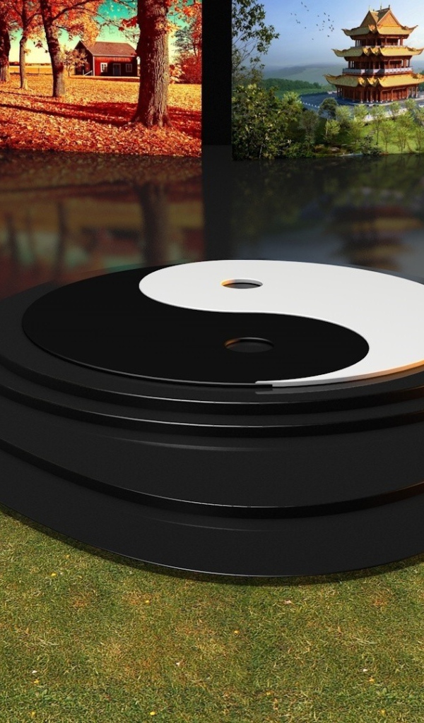 Символ Инь и Янь на полу