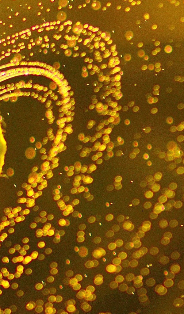 Мяч для тенниса в каплях влаги