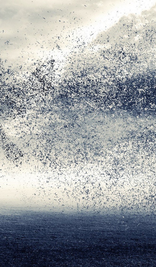 Птица вылетела из креста