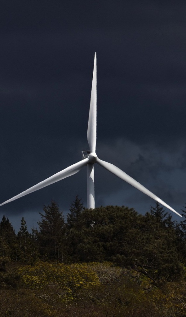 Лопасти ветряной электростанции