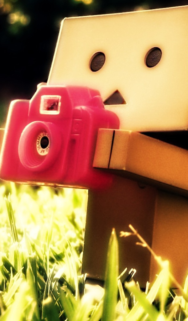 Картонный человечек с фотоаппаратом в траве
