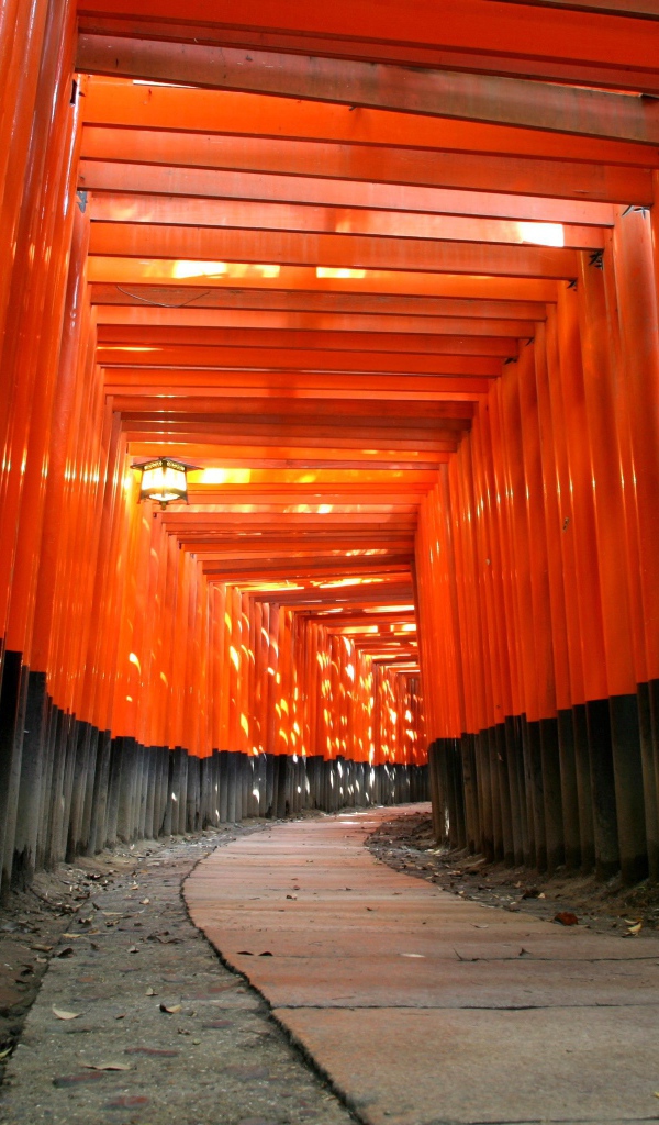 Коридор из оранжевых балок