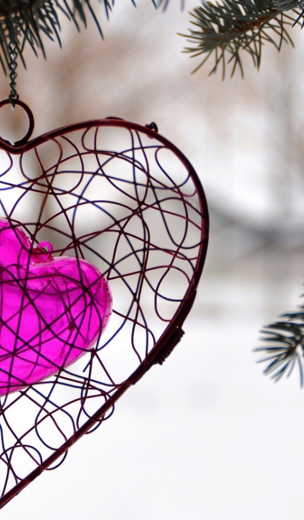 Украшение в виде сердца висит на ветке ели
