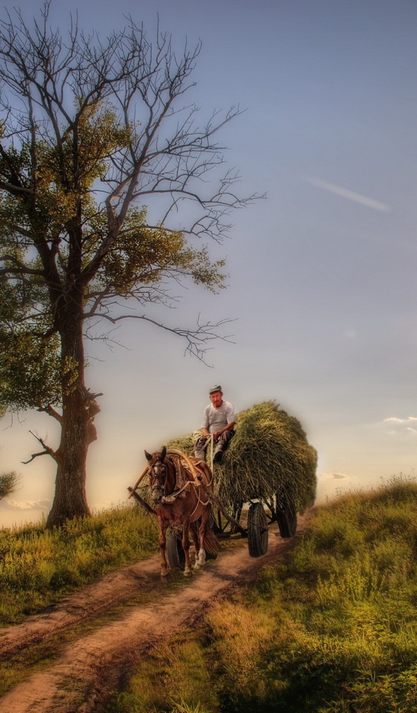 Крестьянин везет сено на телеге