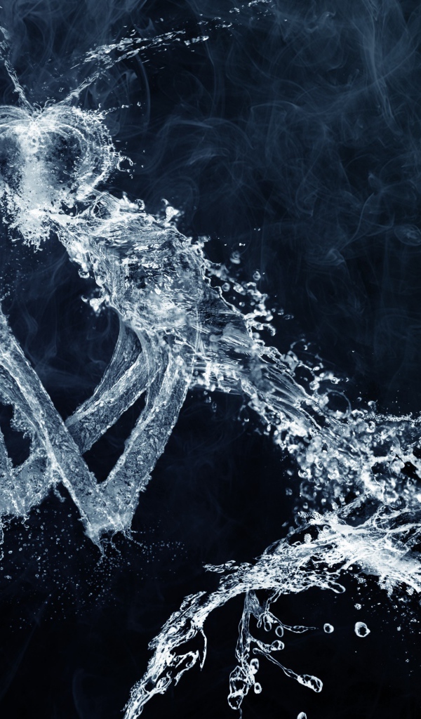 Фигурка богомола из воды