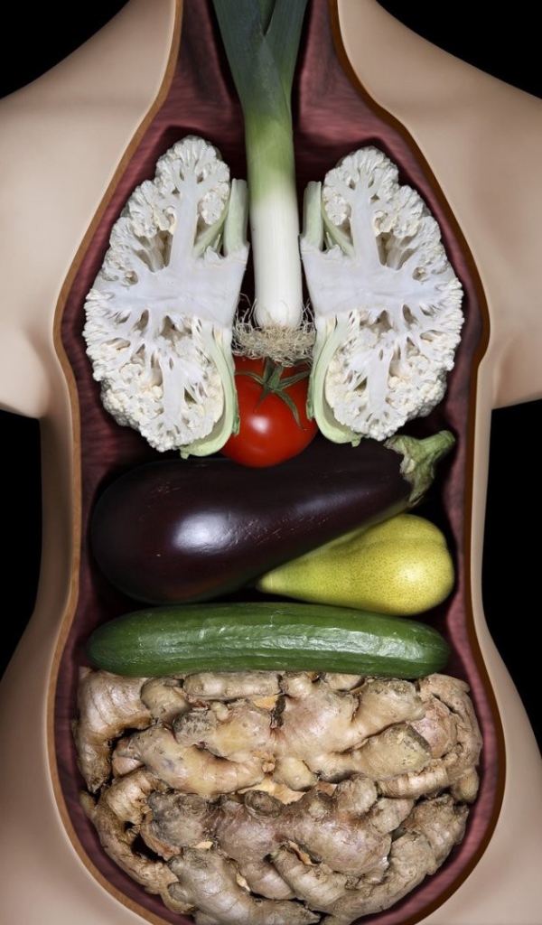 Внутренние органы из овощей
