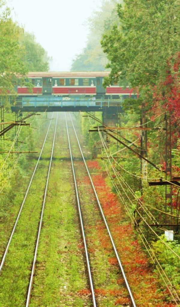 Пересечение железнодорожных путей