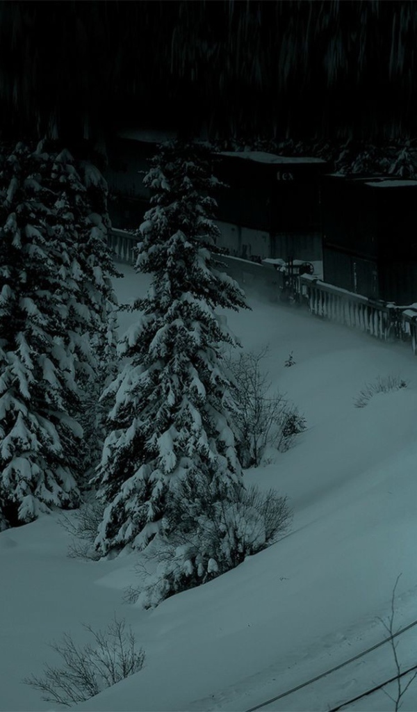 Поезд выезжает из заснеженного леса