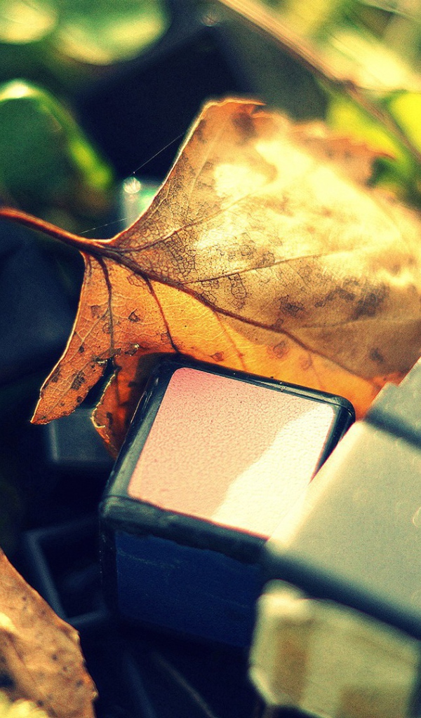 Обломки от кубика Рубика лежат среди листьев