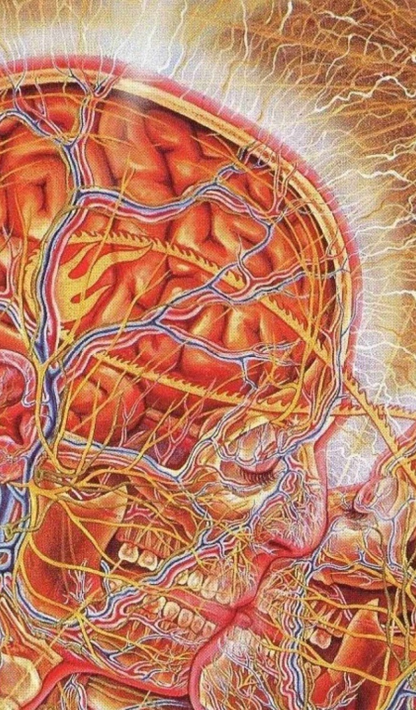 Настоящая химия любви