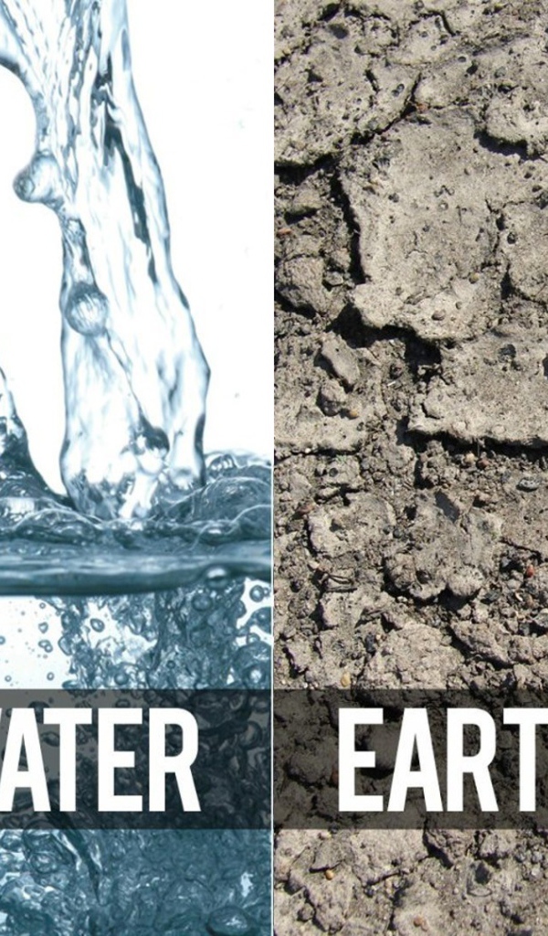 Три стихии и медведь