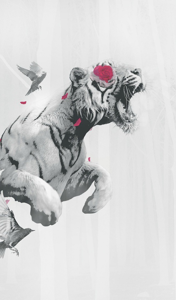 Тигр летит среди птиц