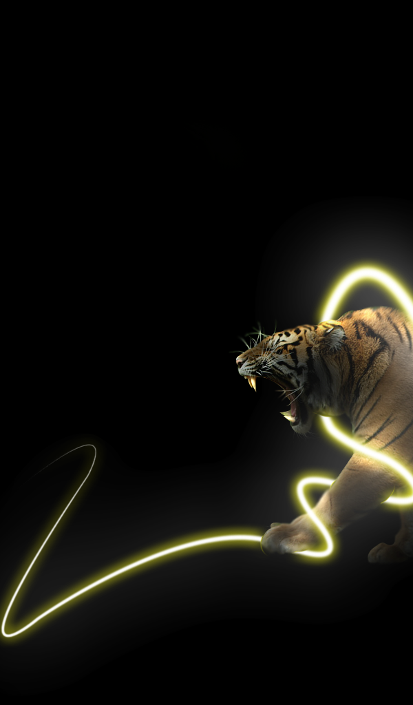 Тигр в энерго спирали