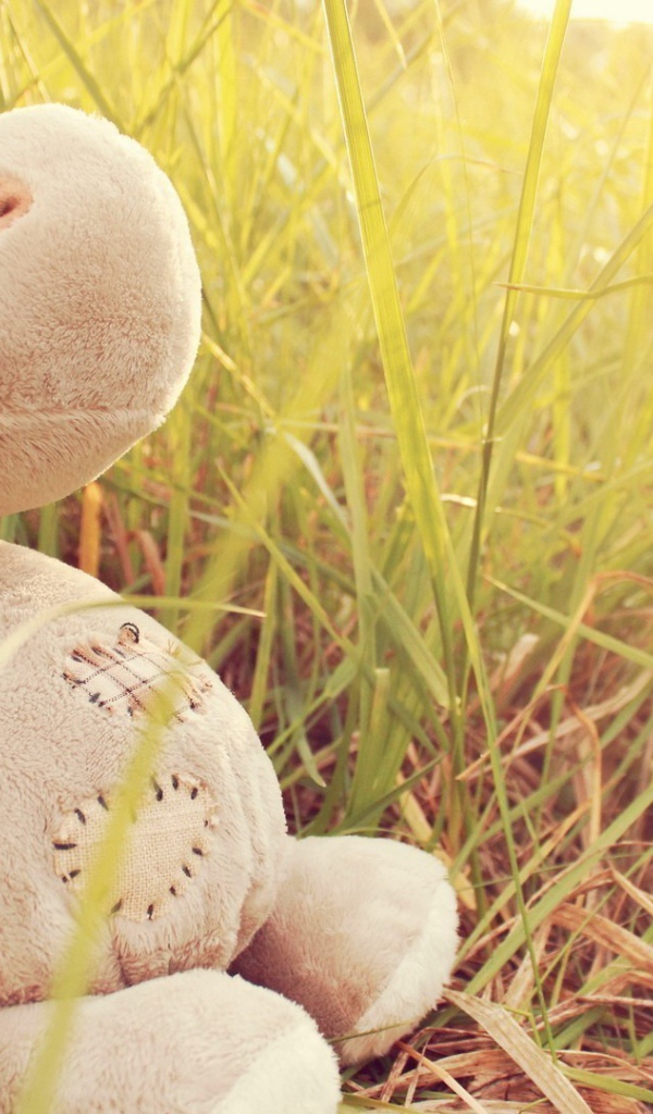 Игрушечный бегемот в траве