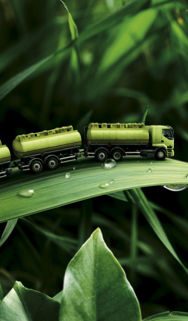 Игрушка на траве