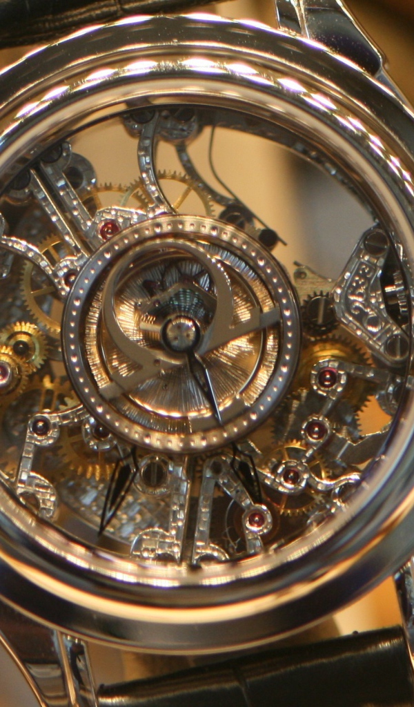 Прозрачный корпус дорогих часов