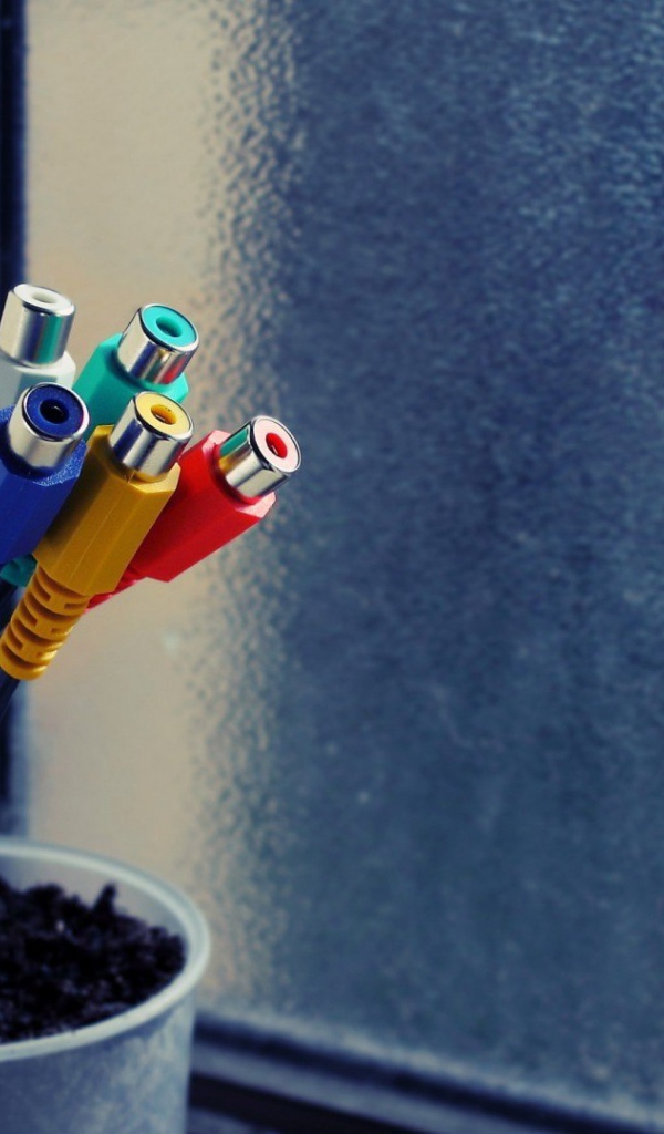 Тюльпаны в горшке