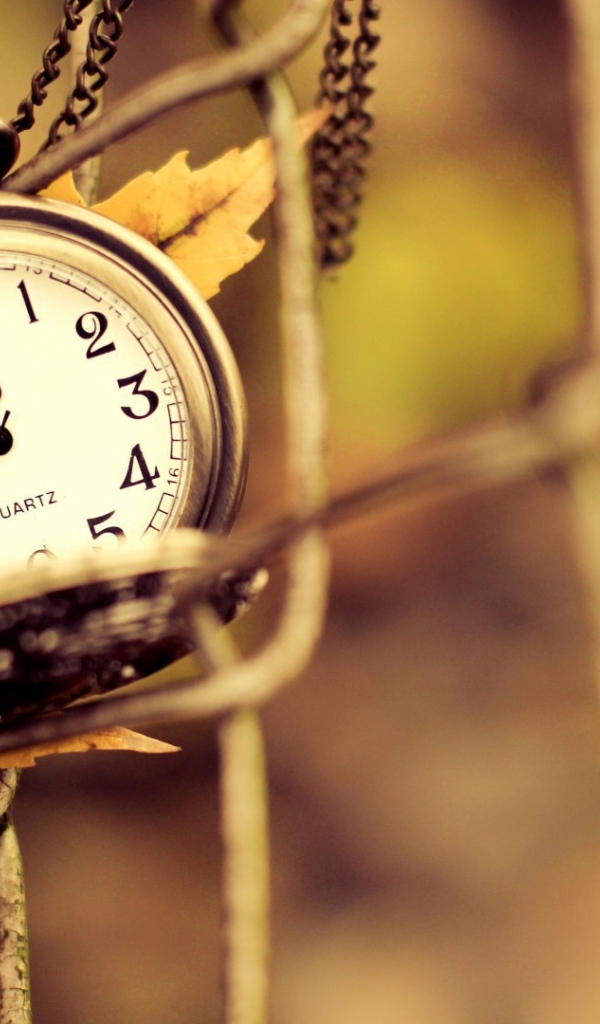 Часы на цепочке и осенний лист