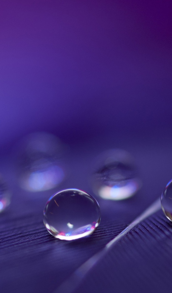 Капли воды расположились треугольником