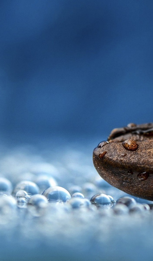 Мокрое зерно кофе