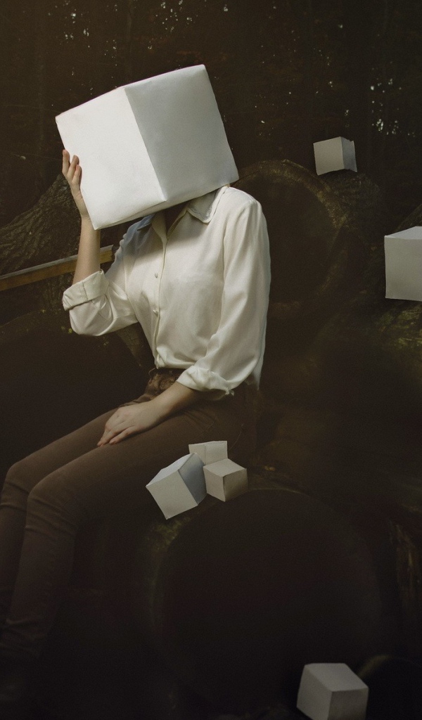 Белый куб вместо головы