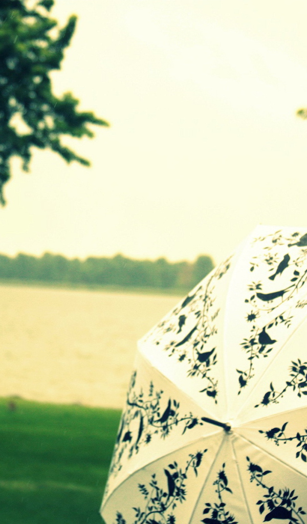 Белый зонт с птицами