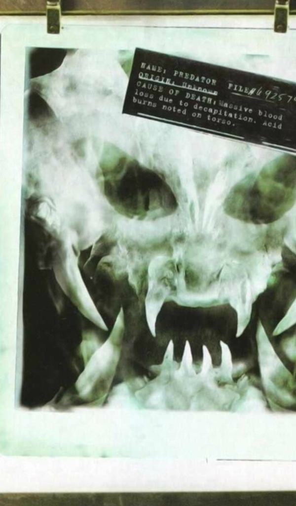 Рентгеновские снимки опасных созданий