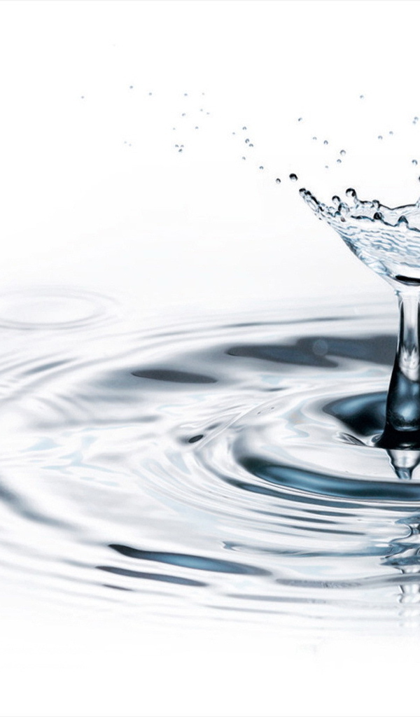 Вишня в брызге