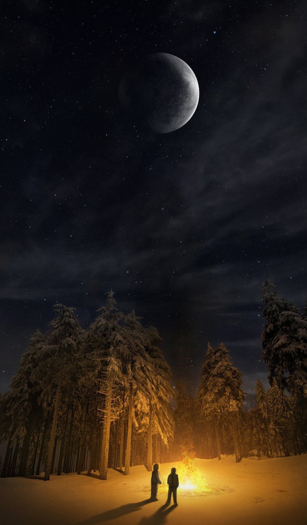 Костер в лесной чаще