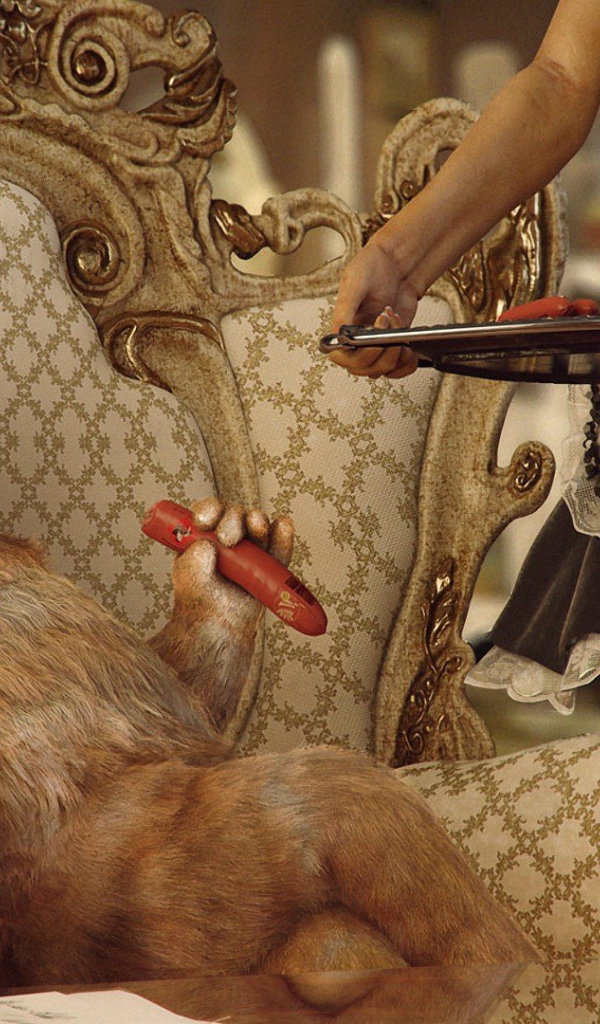 Кот аристократ в богатом доме