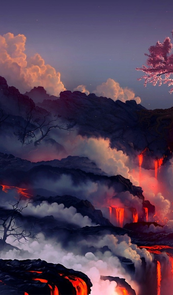 Cherry blossoms over lava flows