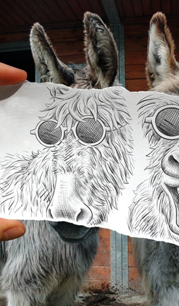 Drawing over a photo of donkeys