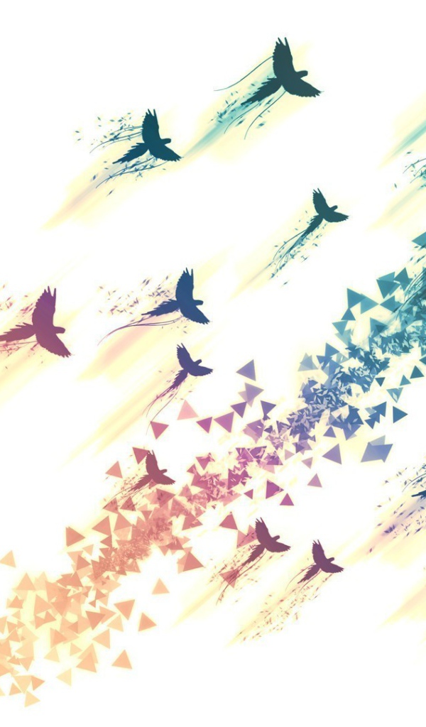 Нарисованные птицы на белом фоне