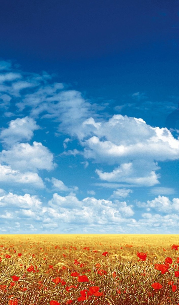 Мужчина рисует облака