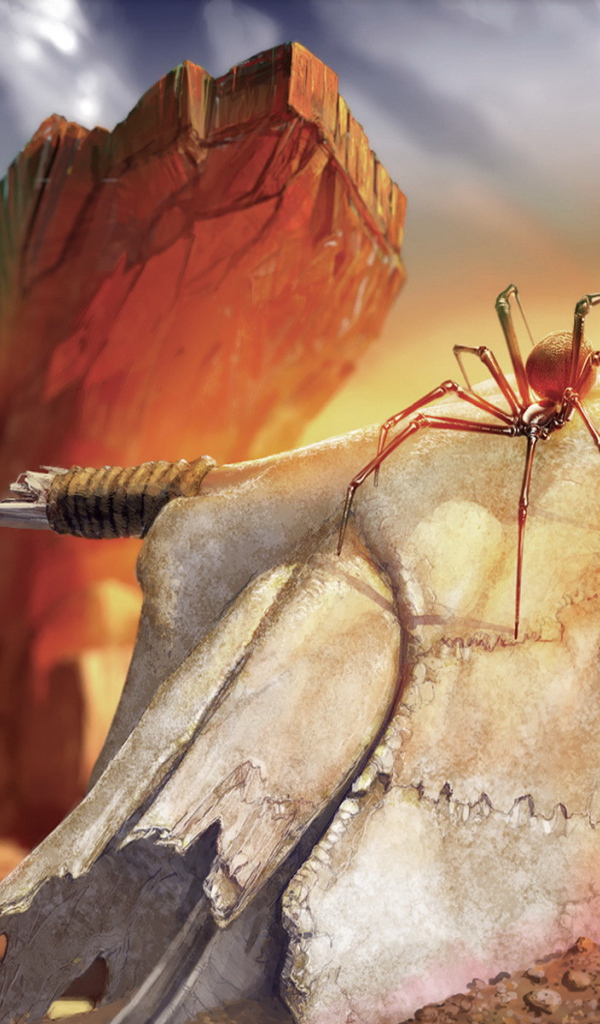 Паук на черепе